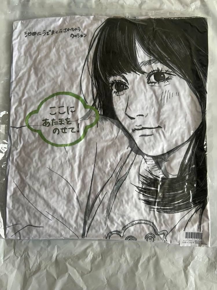 乃木坂46 池田瑛紗 メンバーデザイン個別クッション Amazon.co.jp: 乃木坂46 メンバーデザイン個別クッション 池田瑛
